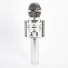 Winex USB-A+TF SD Kart+3.5 MM Aux Girişli Bluetooth Gümüş Karaoke Mikrofonu