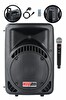 Lastvoice Ample-15AP 1000 W Taşınabilir Seyyar Portatif Mikrofonlu Elektrikli Ses Sistemi Hoparlör