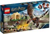 LEGO Harry Potter Macar Boynuzkuyruk Üç Büyücü Turnuvası 75946