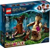 LEGO Harry Potter Yasak Orman: Grawp ve Umbridge'in Karşılaşması 75967