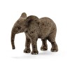 Schleich Yavru Afrika Fili Figür Oyuncak 14763