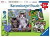 Ravensburger 3x49 Parçalı Tiger Babies Puzzle 080465