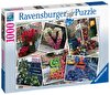Ravensburger 1000 Parça NY Çiçekler Puzzle 168194