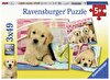 Ravensburger 3x49 Parça Puppies Puzzle 080656