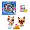 Hasbro Littlest Petshop Minişler 2'li Paket Hayvanlar Kahverengi Kedi-Köpek Figür Oyuncak 00506