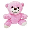 Evimdeyokyok Sevimli Pembe Ayıcık Peluş Oyuncak