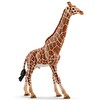 Schleich Dişi Zürafa 17007