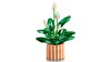 LEGO Botanicals Barış Çiçeği 11504