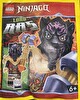 LEGO Ninjago Lord Ras 892309