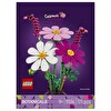 LEGO Botanicals Kozmos Çiçekleri 11514