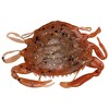 Berkley Gulp Peeler Crab LRF Silikon Yengeç New Penny-5 CM