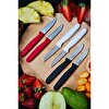 Stevig Cut 4 Fruit 6’lı Mix Meyve Bıçağı Seti ST-406