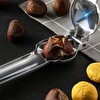 Evimdeyokyok Profesyonel Metal Kestane Çizici Pense