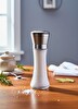 Jet's Home Lüks Çelik Kapaklı Cam Tuz ve Karabiber Değirmeni - 19 CM Modern Baharat Öğütücü