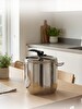 Home Perfect Gastro 17 L Düz Düdüklü Tencere