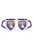 Ghostbastır Design Al Ain F.C. Kupa Bardak - 1 Adet 0958