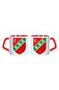 Ghostbastır Design Karşıyaka Spor Kupa Bardak - 1 Adet 0258