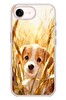 Le Balvo iPhone 17e Uyumlu Golden Köpek Baskılı Silikon Kılıf
