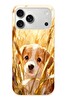 Le Balvo iPhone 17 Pro Max Uyumlu Golden Köpek Baskılı Silikon Kılıf