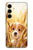 Le Balvo Samsung Galaxy S24 Uyumlu Golden Köpek Baskılı Silikon Kılıf