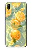 Le Balvo Samsung Galaxy M20 Uyumlu Limonlar Pastel Baskılı Silikon Kılıf