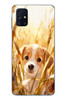 Le Balvo Samsung Galaxy M31s Uyumlu Golden Köpek Baskılı Silikon Kılıf