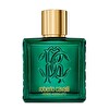 Roberto Cavalli Signature Uomo Verde Assoluto EDP 100 ml Erkek Parfümü