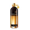 Montale Spicy Aoud EDP 100 ml Unisex Parfüm
