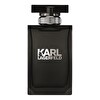Karl Lagerfeld Pour Homme EDT 100 ml Erkek Parfümü