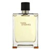 Hermes Terre D'Hermes EDT 200 ml Erkek Parfümü