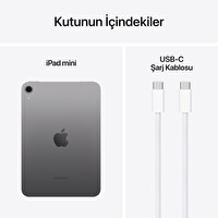 Apple iPad Mini 8.3-INCH WI-FI 256GB Space Grey MXNA3TU/A