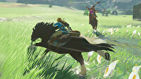 Nintendo The Legend of Zelda: Breath of the Wild  Switch Oyun