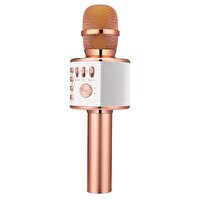 Bood B12 Karaoke Mikrofon