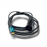 Pawer XLR Canon Erkek to Type-C Kablo 1 Metre
