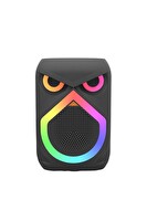Başkenttekno D80 12W RGB Işıklı Kablosuz Mikrofonlu USB FM Radyo Kablosuz Taşınabilir Hoparlör