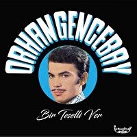 Orhan Gencebay - Bir Teselli Ver Plak