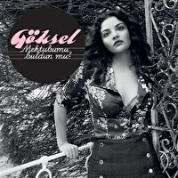 Göksel - Mektubumu Buldun mu? Plak