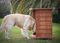 Mandu 54x77x51 CM Ahşap Mama İstasyonu