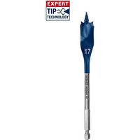 Bosch 17x152 MM Expert Yaprak Matkap Ucu 2608900316