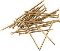 Evimdeyokyok 10x30 - 2.5 KG Başsız Sarı Tel Çivi
