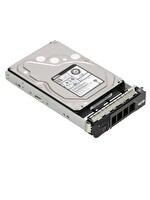 Dell 2TB 7.2K 12G SAS 3.5" Sunucu Harddisk MG04SCA20EN 0GDM8H