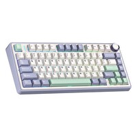 Aula F75 Mekanik RGB TKL Reaper Switch Kablosuz Makrolu Hot Swap Klavye Pastel