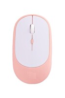 Başkenttekno TM16 Usb Ve Bluetooth Bağlantı Çift Modlu Şarjli Sessiz Kablosuz Mouse