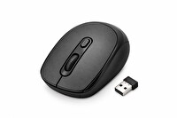 Hadron Q220 1600 Dpi Siyah Kablosuz Mouse