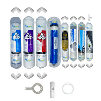 Pemax Water Solutions Kapalı Kasa Su Arıtma Cihazı  STD 8'li ReVerse Osmosis Mebran B12-Mineral-Detox-Gümüş İyon