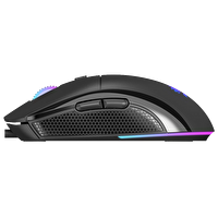 GameBooster M11 Dire RGB 12.800 DPI Siyah Kablolu Oyuncu Faresi