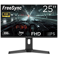Rampage Rage RG25R300 25" 300Hz 1ms HDMI DP FreeSync FHD Fast IPS Oyuncu Monitörü