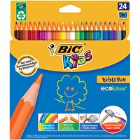 Bic Evolution 24'lü  Kuru Boya Kalemi
