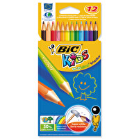 Bic Evolution 12'li Kuru Boya Kalemi