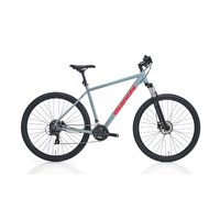 Bianchi Alu Magma 480H 29.3 Jant Tourney 3X7SP HD /4R YS7355 Gri - P/185C Kırmızı Dağ Bisikleti